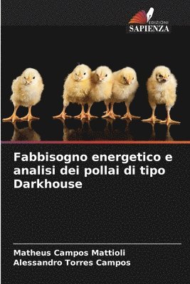 Fabbisogno energetico e analisi dei pollai di tipo Darkhouse 1