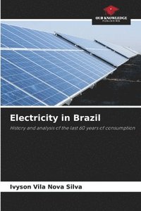bokomslag Electricity in Brazil