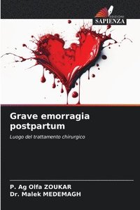 bokomslag Grave emorragia postpartum