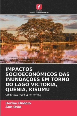 Impactos Socioeconmicos Das Inundaes Em Torno Do Lago Victoria, Qunia, Kisumu 1