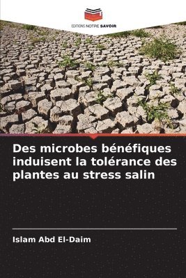 bokomslag Des microbes bénéfiques induisent la tolérance des plantes au stress salin