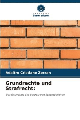 bokomslag Grundrechte und Strafrecht