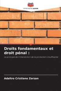 bokomslag Droits fondamentaux et droit pnal