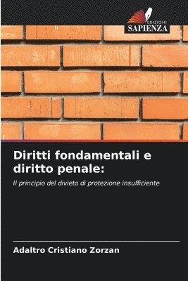 Diritti fondamentali e diritto penale 1