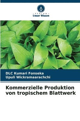 Kommerzielle Produktion von tropischem Blattwerk 1