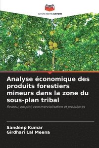 bokomslag Analyse conomique des produits forestiers mineurs dans la zone du sous-plan tribal