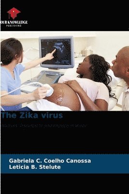 The Zika virus 1