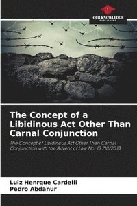 bokomslag The Concept of a Libidinous Act Other Than Carnal Conjunction