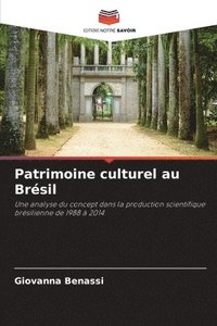 bokomslag Patrimoine culturel au Brsil