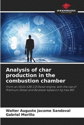 Analysis of char production in the combustion chamber 1