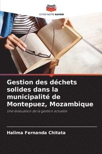 bokomslag Gestion des dchets solides dans la municipalit de Montepuez, Mozambique