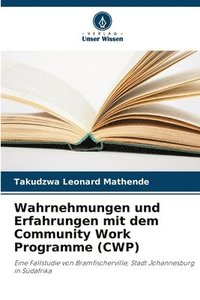 bokomslag Wahrnehmungen und Erfahrungen mit dem Community Work Programme (CWP)