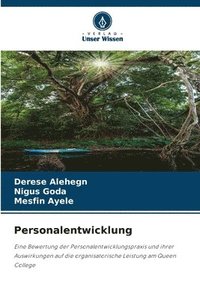 bokomslag Personalentwicklung