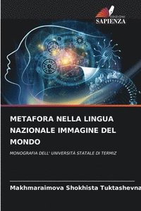 bokomslag Metafora Nella Lingua Nazionale Immagine del Mondo