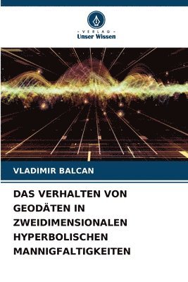 bokomslag Das Verhalten Von Geodten in Zweidimensionalen Hyperbolischen Mannigfaltigkeiten