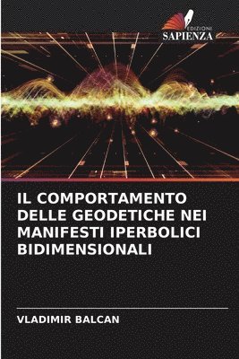 bokomslag Il Comportamento Delle Geodetiche Nei Manifesti Iperbolici Bidimensionali