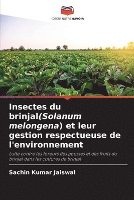 Insectes du brinjal(Solanum melongena) et leur gestion respectueuse de l'environnement 1
