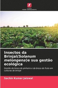 bokomslag Insectos da Brinjal(Solanum melongena)e sua gesto ecolgica