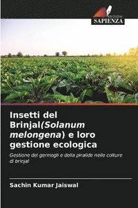 bokomslag Insetti del Brinjal(Solanum melongena) e loro gestione ecologica