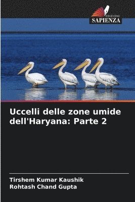 bokomslag Uccelli delle zone umide dell'Haryana