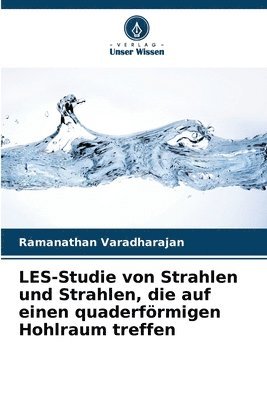 bokomslag LES-Studie von Strahlen und Strahlen, die auf einen quaderfrmigen Hohlraum treffen