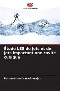 bokomslag tude LES de jets et de jets impactant une cavit cubique