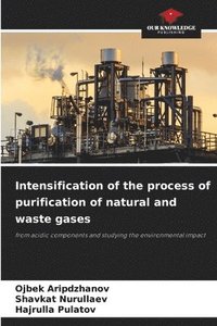 bokomslag Intensification of the process of purification of natural and waste gases