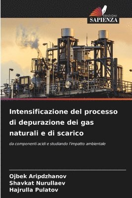 Intensificazione del processo di depurazione dei gas naturali e di scarico 1