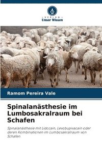 bokomslag Spinalansthesie im Lumbosakralraum bei Schafen