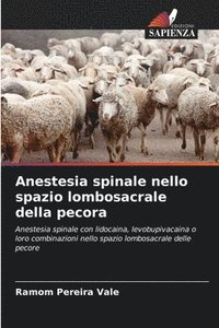 bokomslag Anestesia spinale nello spazio lombosacrale della pecora