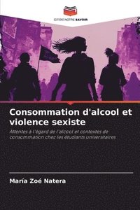 bokomslag Consommation d'alcool et violence sexiste