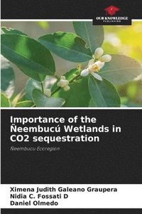 bokomslag Importance of the eembuc Wetlands in CO2 sequestration