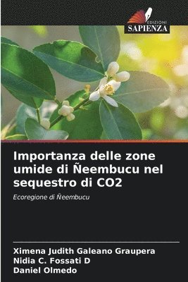 Importanza delle zone umide di eembucu nel sequestro di CO2 1