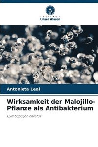 bokomslag Wirksamkeit der Malojillo-Pflanze als Antibakterium