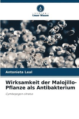 Wirksamkeit der Malojillo-Pflanze als Antibakterium 1