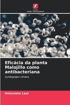 bokomslag Eficcia da planta Malojillo como antibacteriana