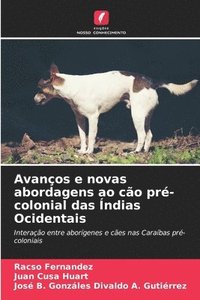 bokomslag Avanos e novas abordagens ao co pr-colonial das ndias Ocidentais