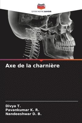 Axe de la charnire 1