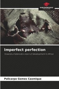 bokomslag Imperfect perfection
