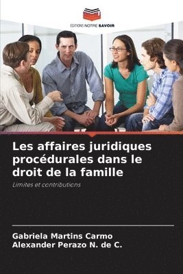 bokomslag Les affaires juridiques procdurales dans le droit de la famille