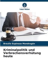 bokomslag Kriminalpolitik und Verbrechensverhtung heute