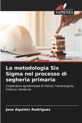 La metodologia Six Sigma nel processo di segheria primaria 1