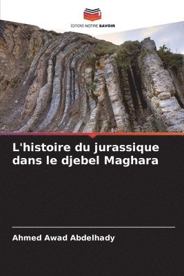 bokomslag L'histoire du jurassique dans le djebel Maghara