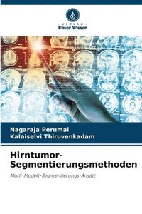 bokomslag Hirntumor-Segmentierungsmethoden