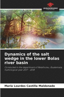 Dynamics of the salt wedge in the lower Bolas river basin 1