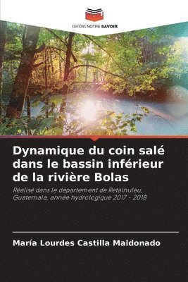 bokomslag Dynamique du coin sal dans le bassin infrieur de la rivire Bolas