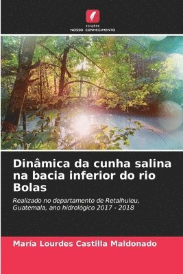 Dinmica da cunha salina na bacia inferior do rio Bolas 1