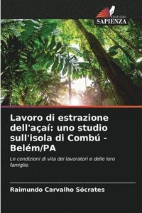 bokomslag Lavoro di estrazione dell'aa