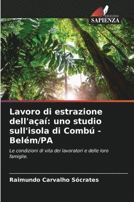 bokomslag Lavoro di estrazione dell'aa