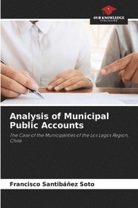 bokomslag Analysis of Municipal Public Accounts